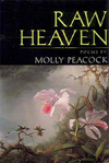  book or item image